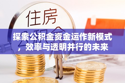 江华探索公积金资金运作新模式，效率与透明并行的未来