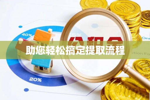 江华助您轻松搞定提取流程