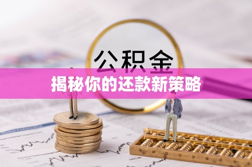 江华揭秘你的还款新策略