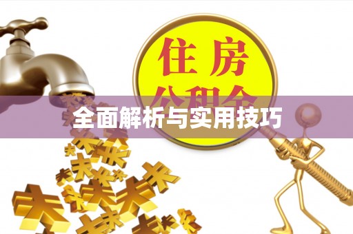 江华全面解析与实用技巧