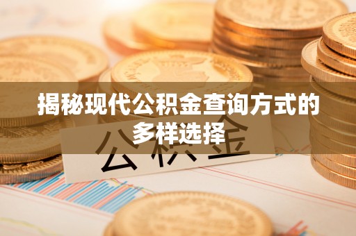 江华揭秘现代公积金查询方式的多样选择