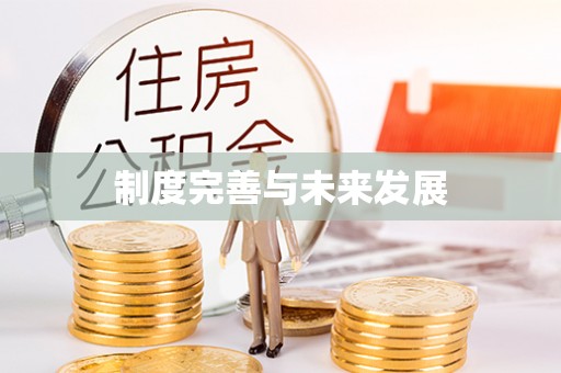 江华制度完善与未来发展