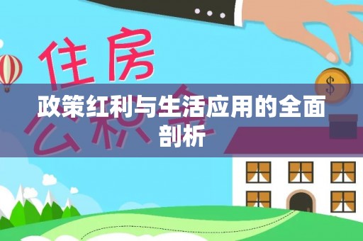 江华政策红利与生活应用的全面剖析