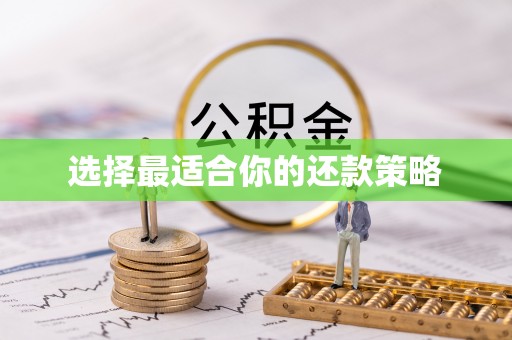 江华选择最适合你的还款策略
