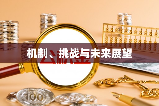 江华机制、挑战与未来展望